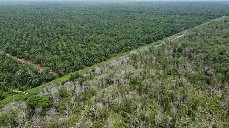 Agricultural Land for Sale in Banting (Selangor) - Queenie Hwa Lee Soo Hwa - Exterior - PropertyGuru.com.my