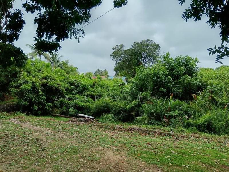 Agricultural Land for Sale in Pekan (Pahang) - Zalelawati . - Exterior - PropertyGuru.com.my