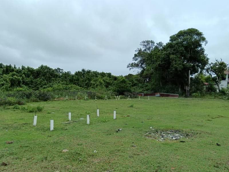 Agricultural Land for Sale in Pekan (Pahang) - Zalelawati . - Exterior - PropertyGuru.com.my