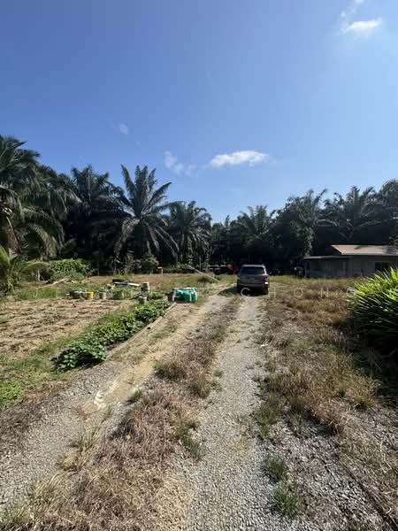Agricultural Land for Sale in Sandakan (Sabah) - Jennifer Chong - Exterior - PropertyGuru.com.my