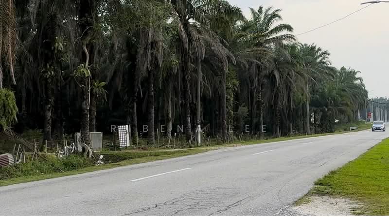 Agricultural Land for Sale in Bidor (Perak) - Ribena Lee - Exterior - PropertyGuru.com.my