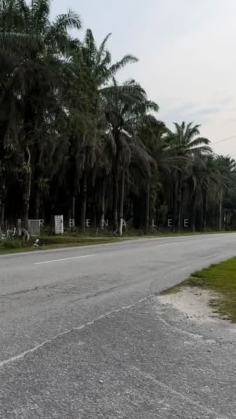 Agricultural Land for Sale in Bidor (Perak) - Ribena Lee - Exterior - PropertyGuru.com.my