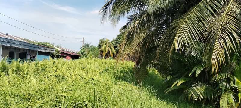 Tanah Pertanian untuk Dijual di Meru (Klang) - Muin Mn - Exterior - PropertyGuru.com.my