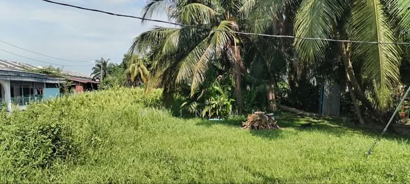 Tanah Pertanian untuk Dijual di Meru (Klang) - Muin Mn - Exterior - PropertyGuru.com.my