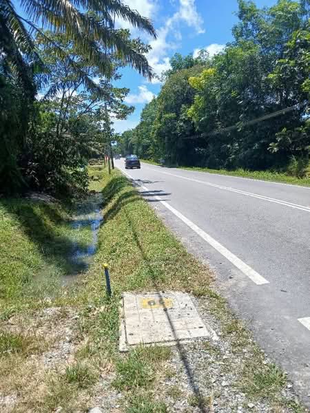 Agricultural Land for Sale in Pekan Nenas (Jeram Batu) - Julie Yew - Exterior - PropertyGuru.com.my