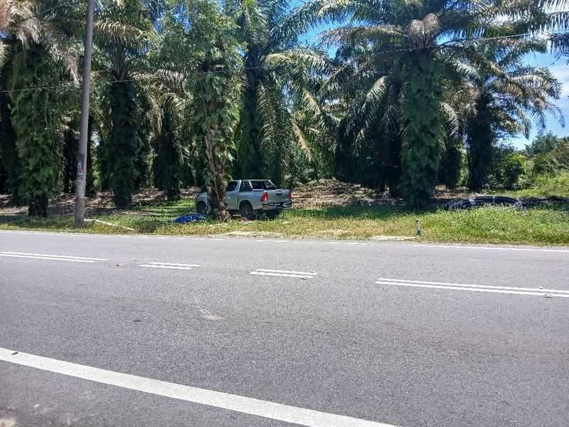 Agricultural Land for Sale in Pekan Nenas (Jeram Batu) - Julie Yew - Exterior - PropertyGuru.com.my
