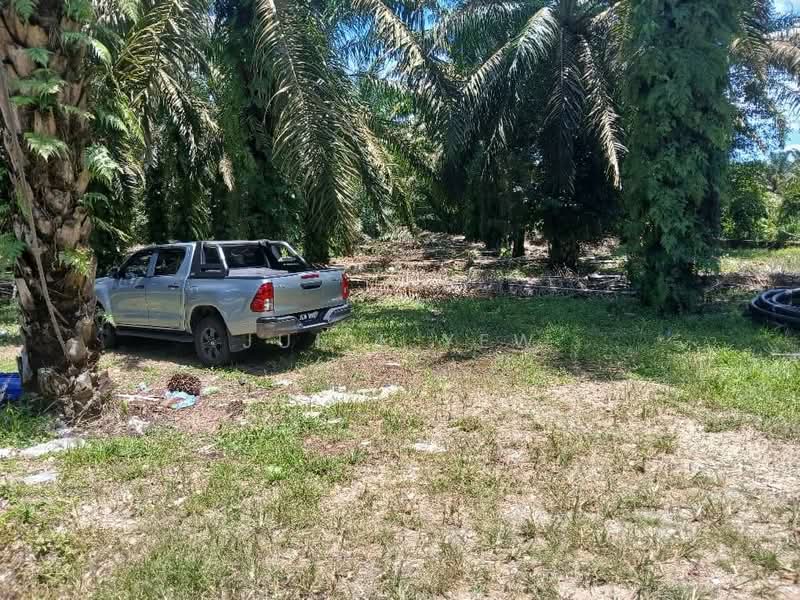 Agricultural Land for Sale in Pekan Nenas (Jeram Batu) - Julie Yew - Exterior - PropertyGuru.com.my
