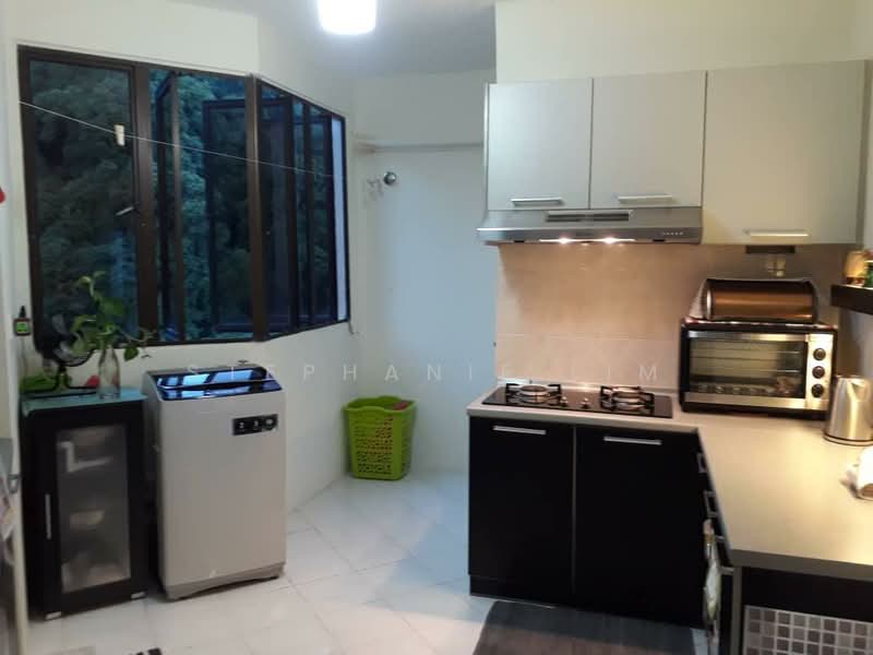 Condominium for Sale at Miami Green - Stephanie Lim - Kitchen - PropertyGuru.com.my