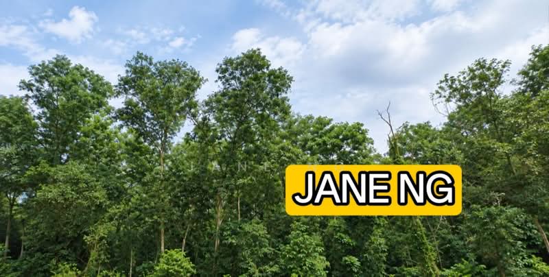 Tanah Perindustrian untuk Dijual di Bukit Minyak (Penang) - Jane Ng - PropertyGuru.com.my