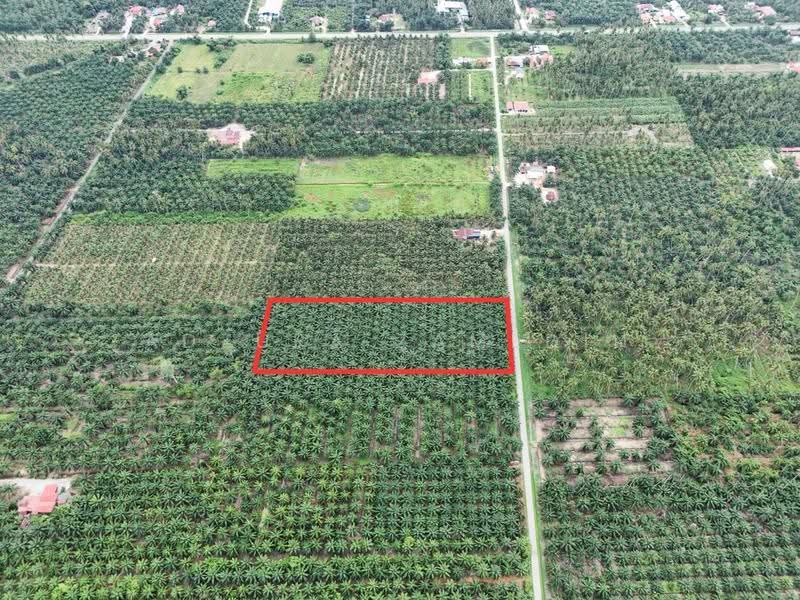 Tanah Pertanian untuk Dijual di Sabak Bernam (Selangor) - Adzura Zamedin - Exterior - PropertyGuru.com.my