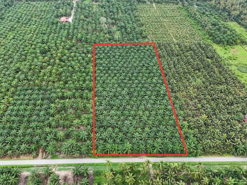 Tanah Pertanian untuk Dijual di Sabak Bernam (Selangor) - Adzura Zamedin - PropertyGuru.com.my
