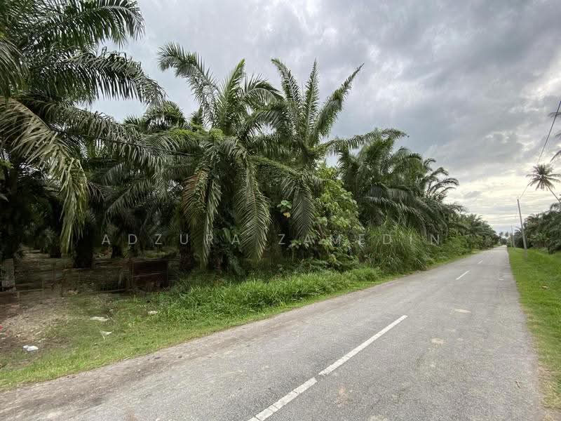 Tanah Pertanian untuk Dijual di Sabak Bernam (Selangor) - Adzura Zamedin - Exterior - PropertyGuru.com.my