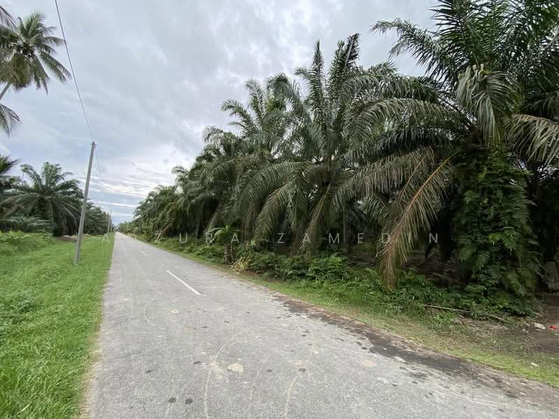 Tanah Pertanian untuk Dijual di Sabak Bernam (Selangor) - Adzura Zamedin - PropertyGuru.com.my