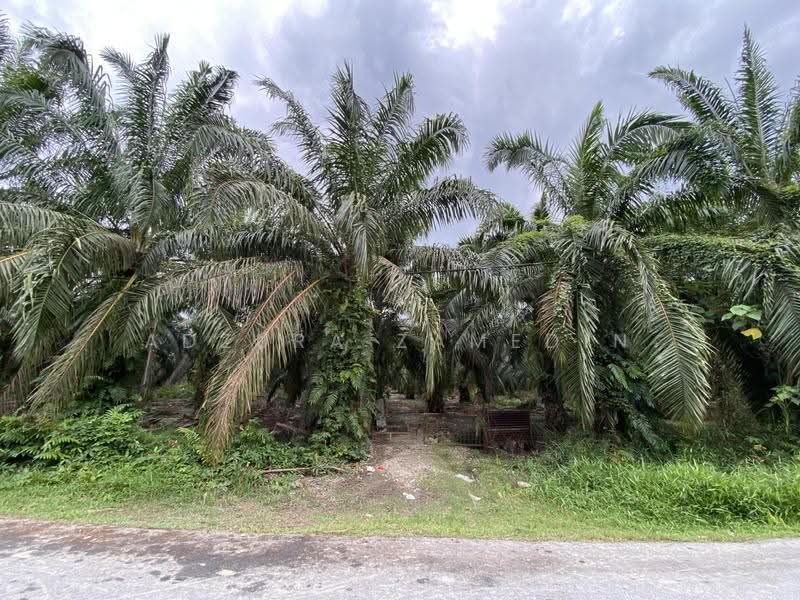 Tanah Pertanian untuk Dijual di Sabak Bernam (Selangor) - Adzura Zamedin - Exterior - PropertyGuru.com.my
