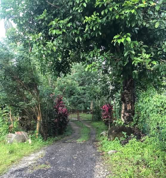 Tanah Pertanian untuk Dijual di Janda Baik (Bentong) - Irwan Yusoff - PropertyGuru.com.my