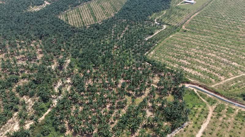 Agricultural Land for Sale in Port Dickson (Negeri Sembilan) - Vincent Tee - Exterior - PropertyGuru.com.my
