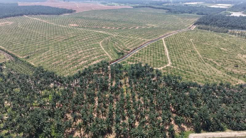 Agricultural Land for Sale in Port Dickson (Negeri Sembilan) - Vincent Tee - Exterior - PropertyGuru.com.my