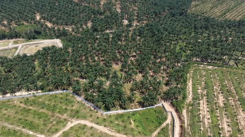 Agricultural Land for Sale in Port Dickson (Negeri Sembilan) - Vincent Tee - Exterior - PropertyGuru.com.my