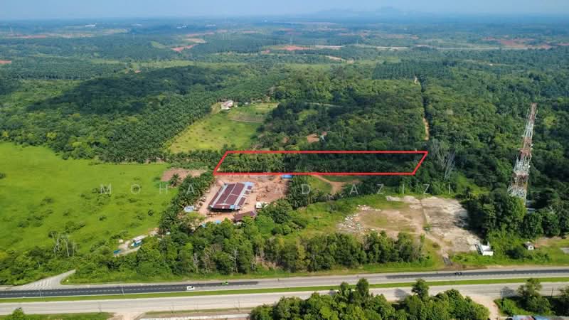 Agricultural Land for Sale in Sungai Karang (Pahang) - Mohammad Azizi - Exterior - PropertyGuru.com.my