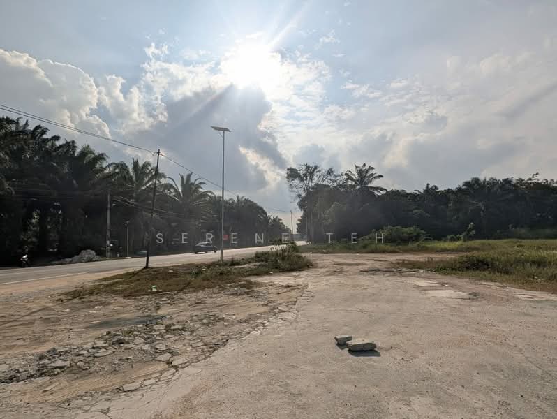Industrial Land for Sale in Sungai Tiram (Ulu Tiram) - Serene Teh - PropertyGuru.com.my