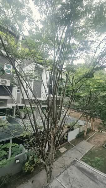 3-storey Terraced House for Rent in Tiara South (Semenyih) - Grace Tan - PropertyGuru.com.my