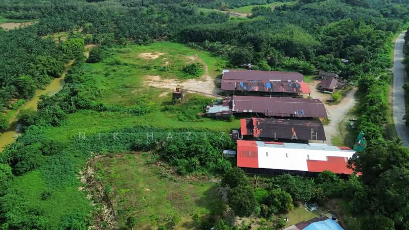 Industrial Land for Sale in Kampung Pulai (Gua Musang) - Nik Hazizullah - PropertyGuru.com.my