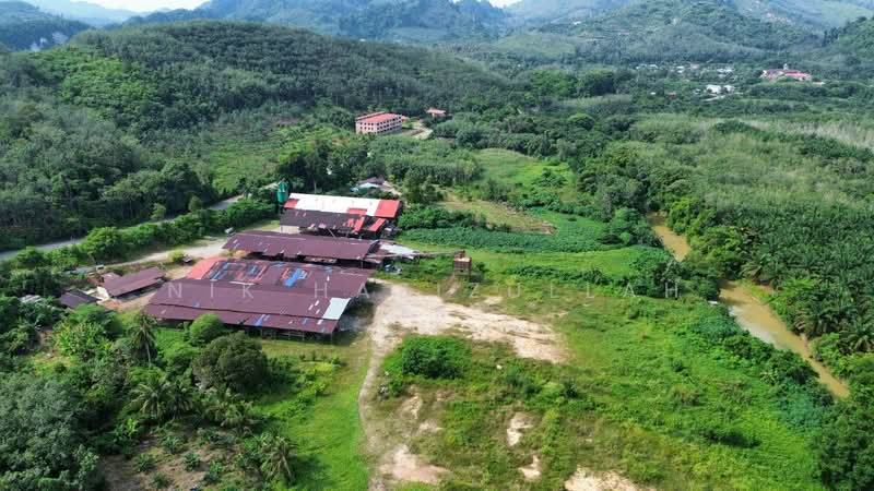 Industrial Land for Sale in Kampung Pulai (Gua Musang) - Nik Hazizullah - PropertyGuru.com.my
