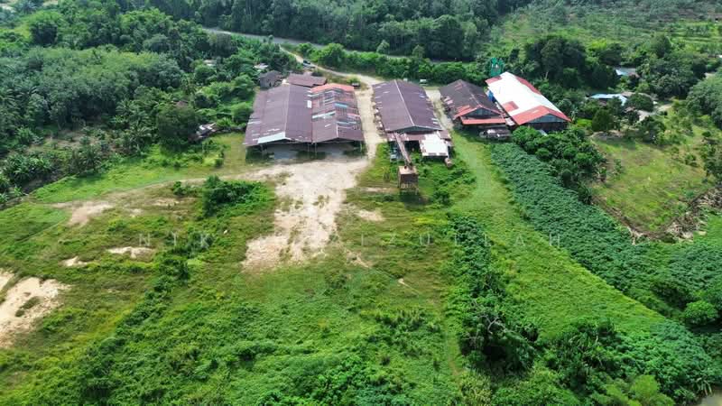 Industrial Land for Sale in Kampung Pulai (Gua Musang) - Nik Hazizullah - PropertyGuru.com.my
