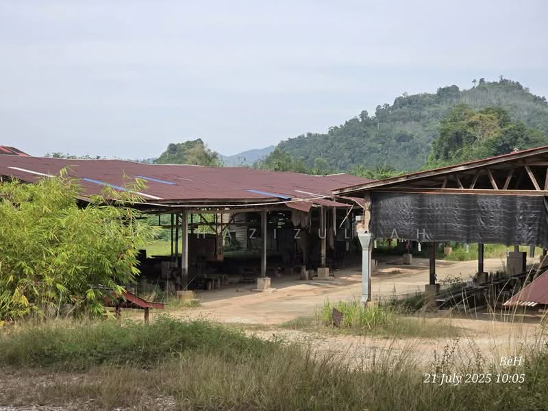 Industrial Land for Sale in Kampung Pulai (Gua Musang) - Nik Hazizullah - PropertyGuru.com.my