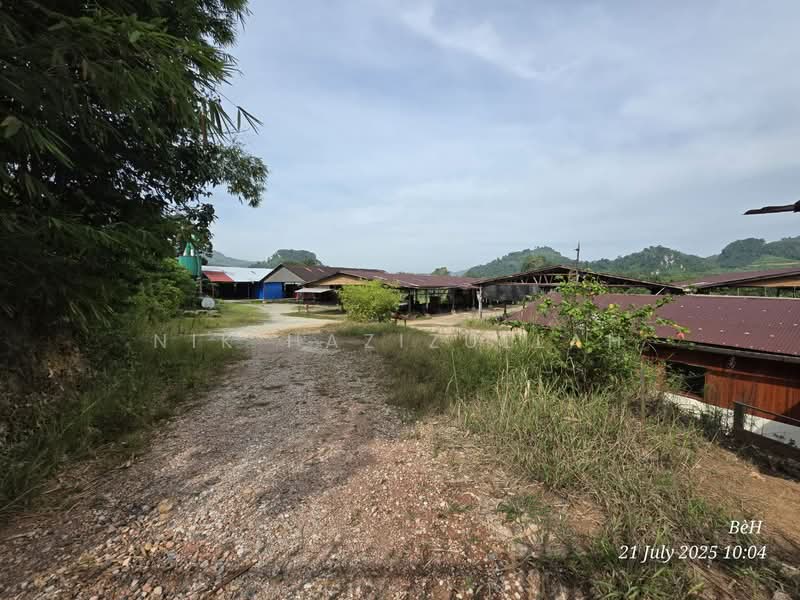 Industrial Land for Sale in Kampung Pulai (Gua Musang) - Nik Hazizullah - PropertyGuru.com.my