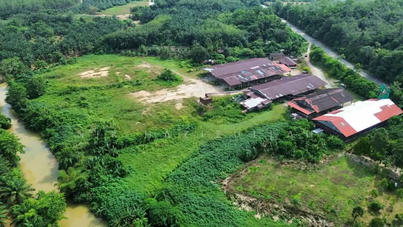 Industrial Land for Sale in Kampung Pulai (Gua Musang) - Nik Hazizullah - PropertyGuru.com.my