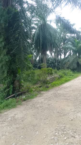 Tanah Pertanian untuk Dijual di Kampung Johan Setia (Klang) - SWEE HOO CHEW - PropertyGuru.com.my