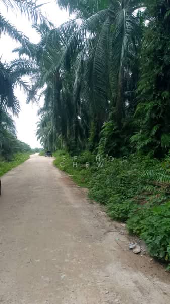 Tanah Pertanian untuk Dijual di Kampung Johan Setia (Klang) - SWEE HOO CHEW - PropertyGuru.com.my