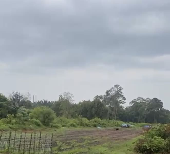 Agricultural Land for Sale in Gelang Patah (Johor) - Miya Goh - PropertyGuru.com.my