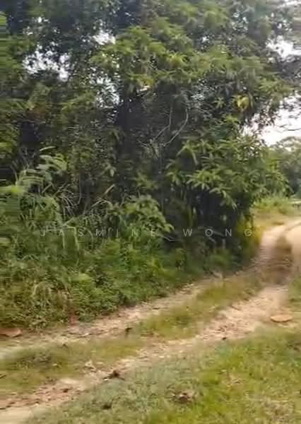 Agricultural Land for Sale in Sungai rasau, Puchong (Puchong) - Jasmine Wong - PropertyGuru.com.my