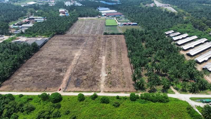 Semi-D Factory for Sale in Banting (Selangor) - Annie Chong - PropertyGuru.com.my