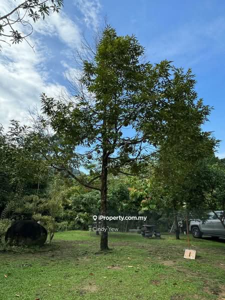 Hotel / Resort for Sale in Ulu Yam (Selangor) - Peong . - Garden - PropertyGuru.com.my