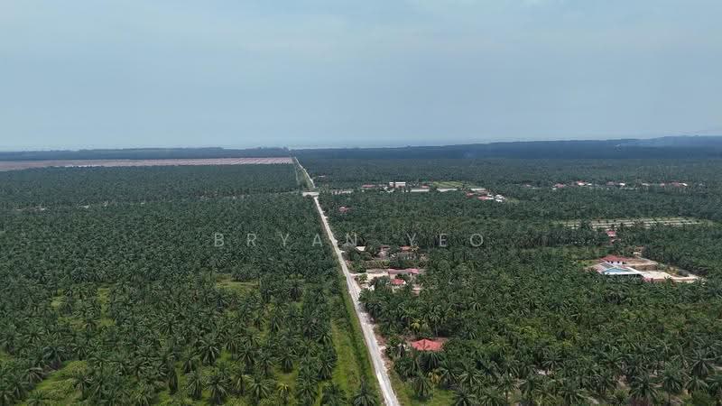 Agricultural Land for Sale in Sitiawan (Perak) - Bryan Yeo - Exterior - PropertyGuru.com.my