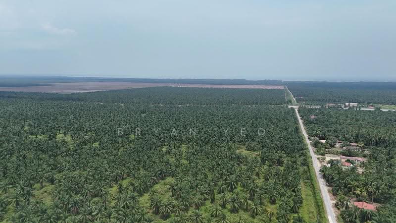 Agricultural Land for Sale in Sitiawan (Perak) - Bryan Yeo - Exterior - PropertyGuru.com.my