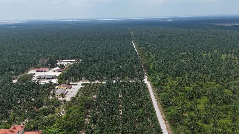 Agricultural Land for Sale in Sitiawan (Perak) - Bryan Yeo - Exterior - PropertyGuru.com.my