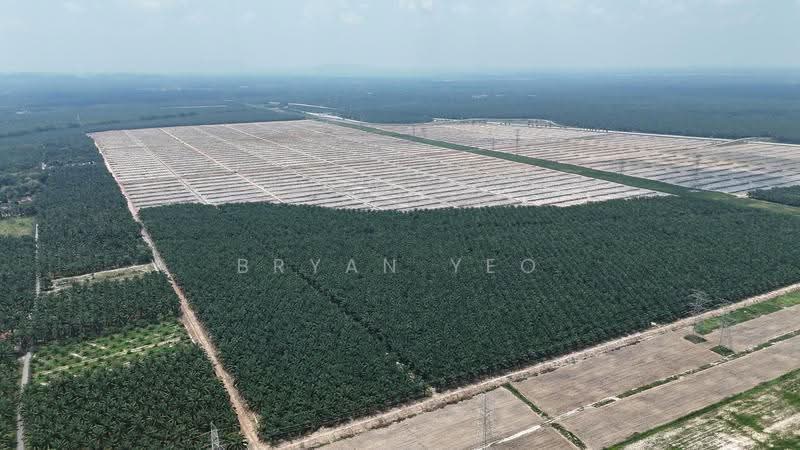 Agricultural Land for Sale in Sitiawan (Perak) - Bryan Yeo - Exterior - PropertyGuru.com.my