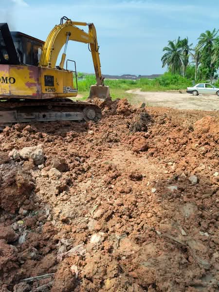 Tanah Pertanian untuk Disewa di Bandar Pontian (Pontian) - Ming Yeap - PropertyGuru.com.my