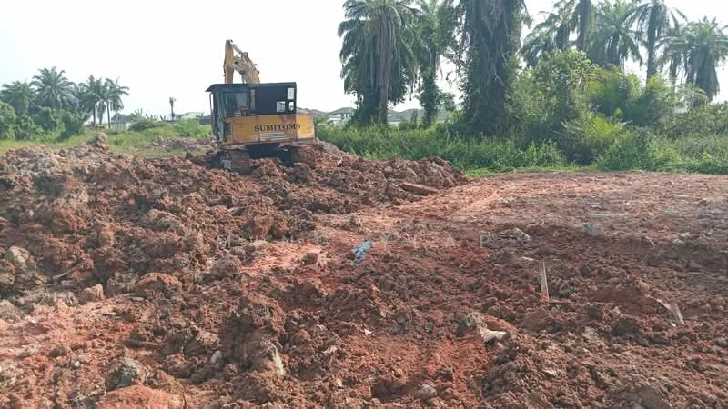 Tanah Pertanian untuk Disewa di Bandar Pontian (Pontian) - Ming Yeap - Exterior - PropertyGuru.com.my