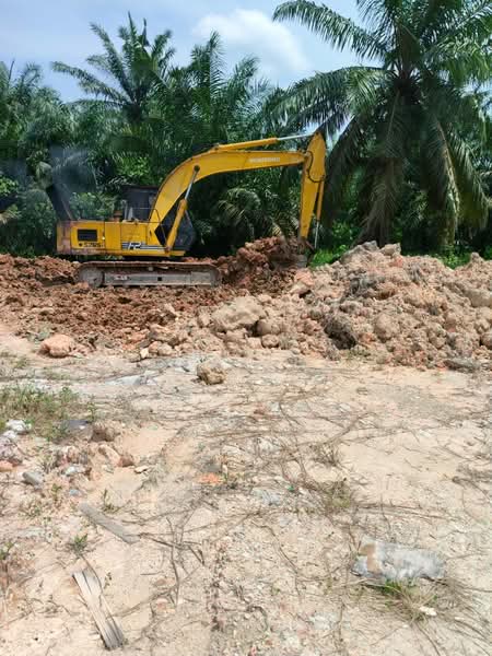 Tanah Pertanian untuk Disewa di Bandar Pontian (Pontian) - Ming Yeap - Exterior - PropertyGuru.com.my