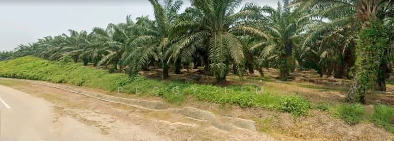 Tanah Perindustrian untuk Disewa di Segamat (Johor) - Peggy Lim - Exterior - PropertyGuru.com.my