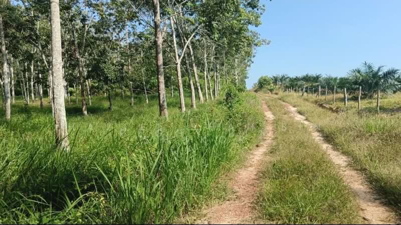 Tanah Perindustrian untuk Disewa di Segamat (Johor) - Peggy Lim - Exterior - PropertyGuru.com.my