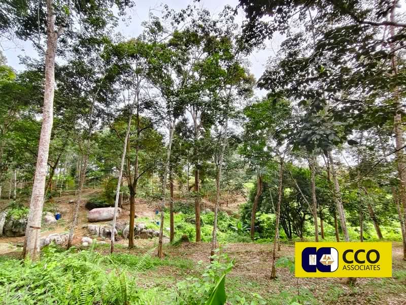 Agricultural Land for Sale in Kampung Baru Sauk (Chegar Galah) - Chris Chin - Exterior - PropertyGuru.com.my
