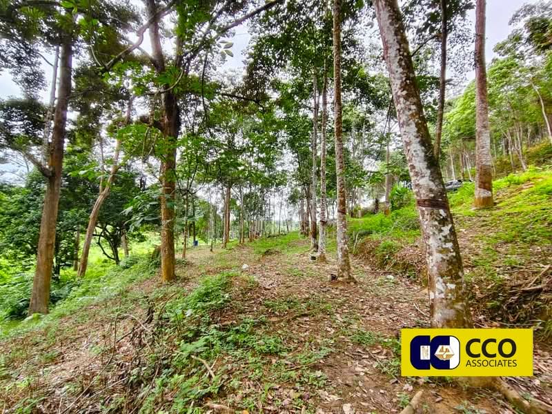 Agricultural Land for Sale in Kampung Baru Sauk (Chegar Galah) - Chris Chin - Exterior - PropertyGuru.com.my