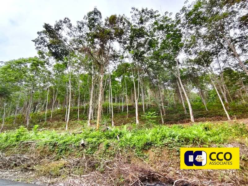 Agricultural Land for Sale in Kampung Baru Sauk (Chegar Galah) - Chris Chin - Exterior - PropertyGuru.com.my