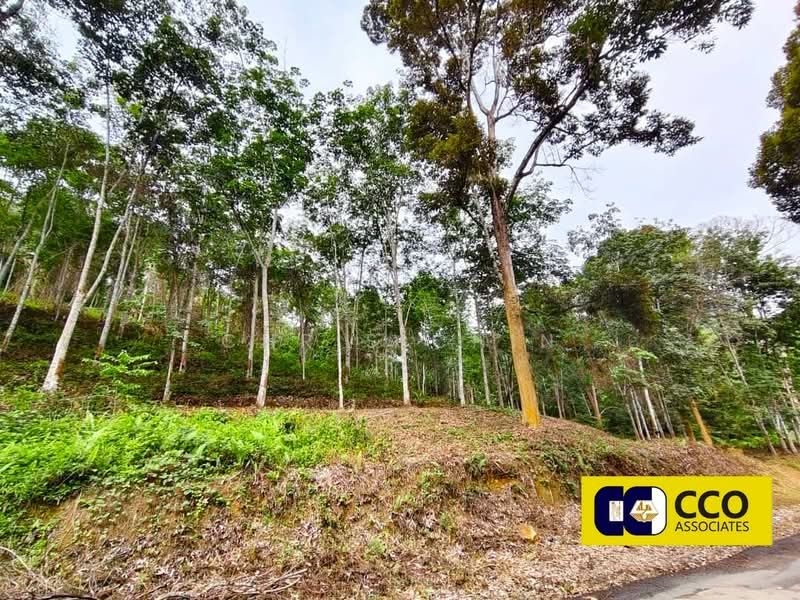 Agricultural Land for Sale in Kampung Baru Sauk (Chegar Galah) - Chris Chin - Exterior - PropertyGuru.com.my